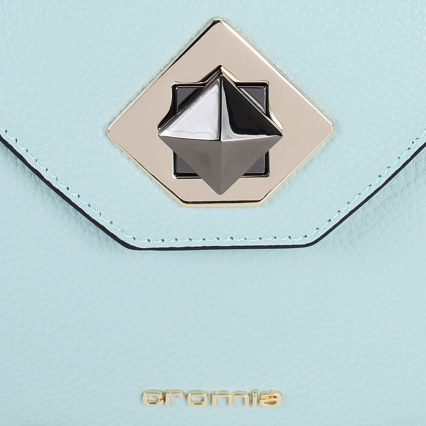 Кожаная сумка Cromia Mina