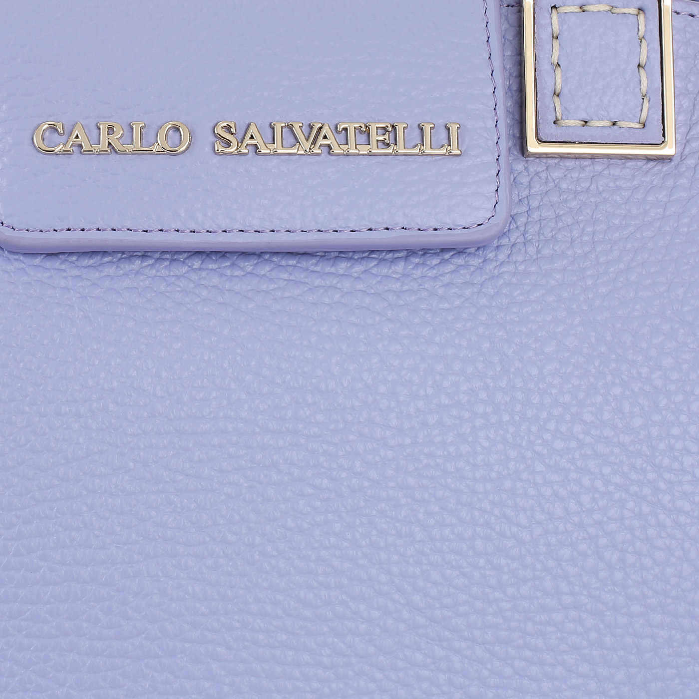 Кожаная сумка Carlo Salvatelli Swami gemma